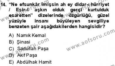 Yeni Türk Edebiyatına Giriş 1 Dersi 2013 - 2014 Yılı (Final) Dönem Sonu Sınavı 14. Soru