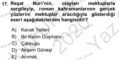 Yeni Türk Edebiyatına Giriş 1 Dersi 2020 - 2021 Yılı Yaz Okulu Sınavı 17. Soru