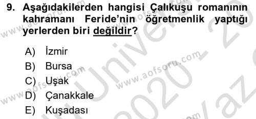 Yeni Türk Edebiyatına Giriş 1 Dersi 2020 - 2021 Yılı Yaz Okulu Sınavı 9. Soru