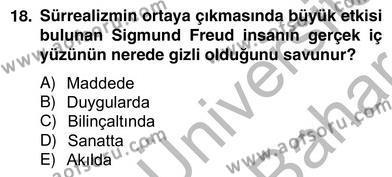 Yeni Türk Edebiyatına Giriş 2 Dersi 2012 - 2013 Yılı (Vize) Ara Sınavı 18. Soru