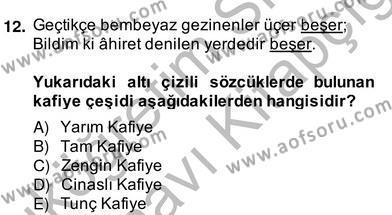 Yeni Türk Edebiyatına Giriş 2 Dersi 2013 - 2014 Yılı (Vize) Ara Sınavı 12. Soru