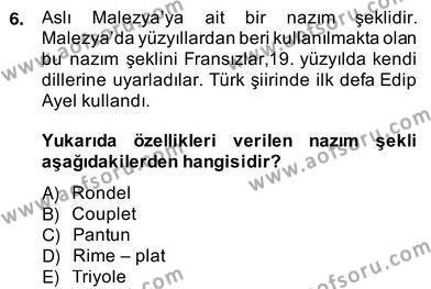 Yeni Türk Edebiyatına Giriş 2 Dersi 2013 - 2014 Yılı (Vize) Ara Sınavı 6. Soru