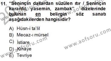 Yeni Türk Edebiyatına Giriş 2 Dersi 2013 - 2014 Yılı (Final) Dönem Sonu Sınavı 11. Soru