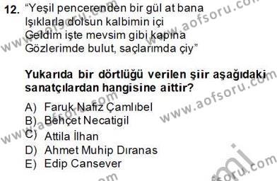 Yeni Türk Edebiyatına Giriş 2 Dersi 2013 - 2014 Yılı (Final) Dönem Sonu Sınavı 12. Soru