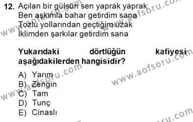 Yeni Türk Edebiyatına Giriş 2 Dersi 2014 - 2015 Yılı (Final) Dönem Sonu Sınavı 12. Soru
