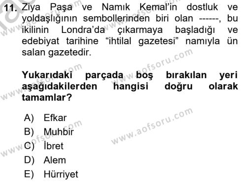 Yeni Türk Edebiyatına Giriş 2 Dersi 2018 - 2019 Yılı Yaz Okulu Sınavı 11. Soru