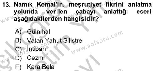 Yeni Türk Edebiyatına Giriş 2 Dersi 2018 - 2019 Yılı Yaz Okulu Sınavı 13. Soru