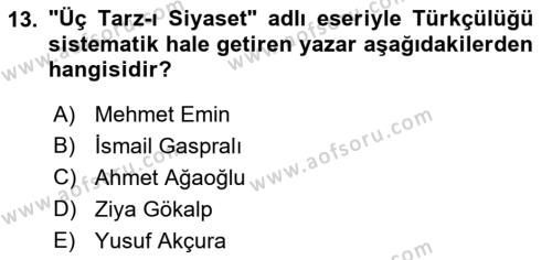 Yeni Türk Edebiyatına Giriş 2 Dersi 2021 - 2022 Yılı Yaz Okulu Sınavı 13. Soru