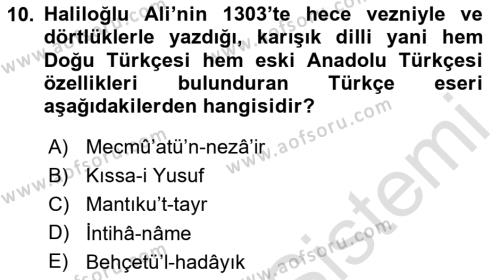 VIII-XIII. Yüzyıllar Türk Edebiyatı Dersi 2020 - 2021 Yılı Yaz Okulu Sınavı 10. Soru