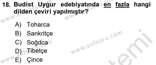 VIII-XIII. Yüzyıllar Türk Edebiyatı Dersi 2020 - 2021 Yılı Yaz Okulu Sınavı 18. Soru