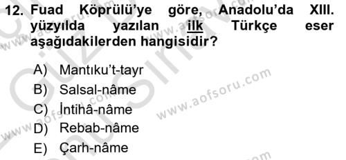 VIII-XIII. Yüzyıllar Türk Edebiyatı Dersi 2021 - 2022 Yılı (Final) Dönem Sonu Sınavı 12. Soru