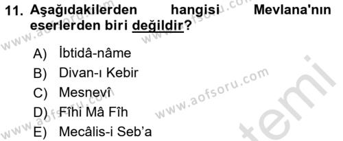 VIII-XIII. Yüzyıllar Türk Edebiyatı Dersi 2021 - 2022 Yılı Yaz Okulu Sınavı 11. Soru