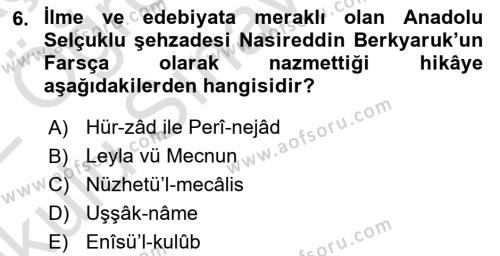 VIII-XIII. Yüzyıllar Türk Edebiyatı Dersi 2021 - 2022 Yılı Yaz Okulu Sınavı 6. Soru