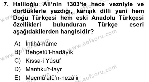 VIII-XIII. Yüzyıllar Türk Edebiyatı Dersi 2021 - 2022 Yılı Yaz Okulu Sınavı 7. Soru