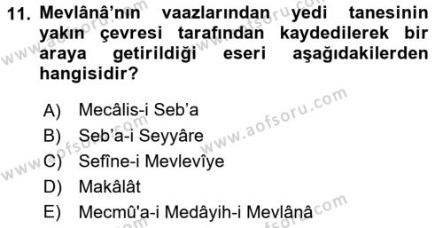 VIII-XIII. Yüzyıllar Türk Edebiyatı Dersi 2022 - 2023 Yılı Yaz Okulu Sınavı 11. Soru