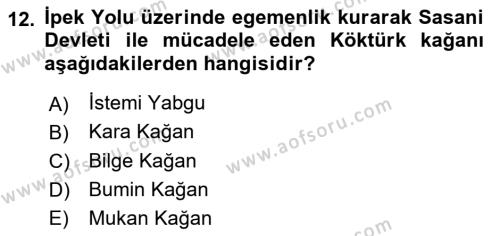 VIII-XIII. Yüzyıllar Türk Edebiyatı Dersi 2022 - 2023 Yılı Yaz Okulu Sınavı 12. Soru