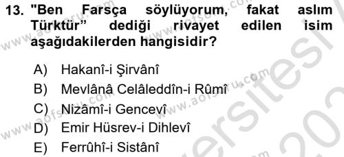 VIII-XIII. Yüzyıllar Türk Edebiyatı Dersi 2022 - 2023 Yılı Yaz Okulu Sınavı 13. Soru