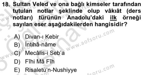 VIII-XIII. Yüzyıllar Türk Edebiyatı Dersi 2022 - 2023 Yılı Yaz Okulu Sınavı 18. Soru