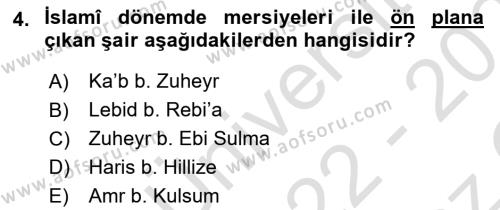 VIII-XIII. Yüzyıllar Türk Edebiyatı Dersi 2022 - 2023 Yılı Yaz Okulu Sınavı 4. Soru