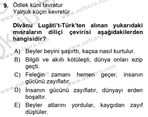 VIII-XIII. Yüzyıllar Türk Edebiyatı Dersi 2022 - 2023 Yılı Yaz Okulu Sınavı 9. Soru