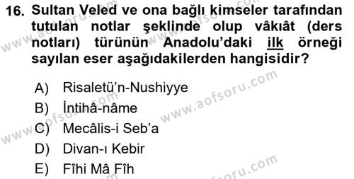 VIII-XIII. Yüzyıllar Türk Edebiyatı Dersi 2023 - 2024 Yılı (Final) Dönem Sonu Sınavı 16. Soru