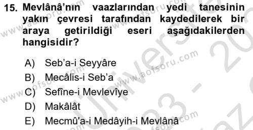 VIII-XIII. Yüzyıllar Türk Edebiyatı Dersi 2023 - 2024 Yılı Yaz Okulu Sınavı 15. Soru