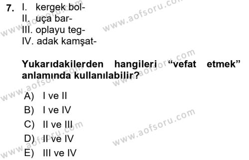 VIII-XIII. Yüzyıllar Türk Edebiyatı Dersi 2023 - 2024 Yılı Yaz Okulu Sınavı 7. Soru