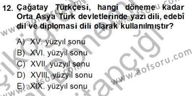 XIV-XV. Yüzyıllar Türk Edebiyatı Dersi 2014 - 2015 Yılı (Vize) Ara Sınavı 12. Soru