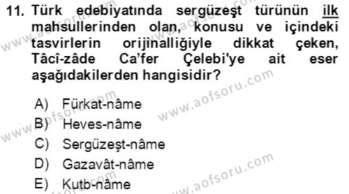 XIV-XV. Yüzyıllar Türk Edebiyatı Dersi 2020 - 2021 Yılı Yaz Okulu Sınavı 11. Soru