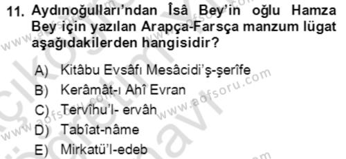 XIV-XV. Yüzyıllar Türk Edebiyatı Dersi 2021 - 2022 Yılı Yaz Okulu Sınavı 11. Soru