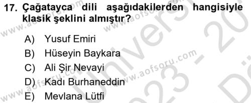 XIV-XV. Yüzyıllar Türk Edebiyatı Dersi 2023 - 2024 Yılı (Vize) Ara Sınavı 17. Soru