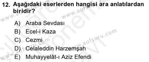 Tanzimat Dönemi Türk Edebiyatı 1 Dersi 2018 - 2019 Yılı (Final) Dönem Sonu Sınavı 12. Soru