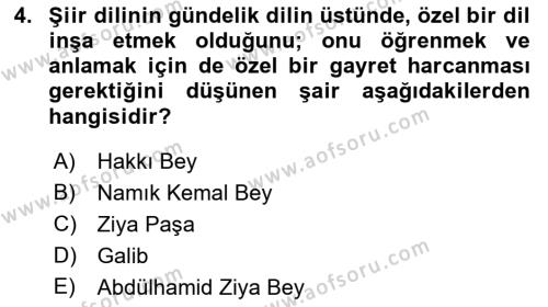 Tanzimat Dönemi Türk Edebiyatı 1 Dersi 2018 - 2019 Yılı Yaz Okulu Sınavı 4. Soru