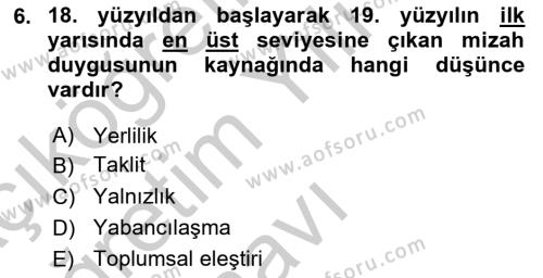 Tanzimat Dönemi Türk Edebiyatı 1 Dersi 2018 - 2019 Yılı Yaz Okulu Sınavı 6. Soru