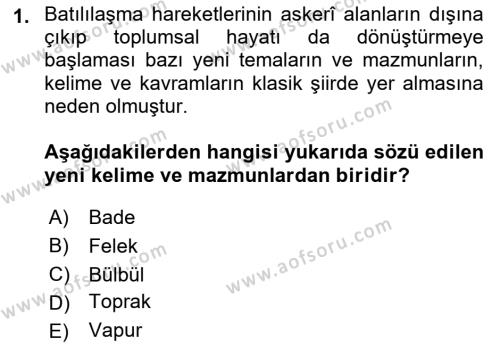 Tanzimat Dönemi Türk Edebiyatı 1 Dersi 2021 - 2022 Yılı Yaz Okulu Sınavı 1. Soru