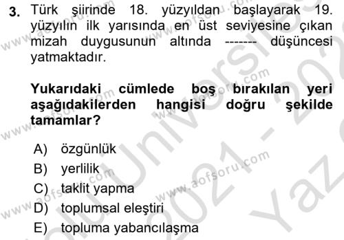 Tanzimat Dönemi Türk Edebiyatı 1 Dersi 2021 - 2022 Yılı Yaz Okulu Sınavı 3. Soru