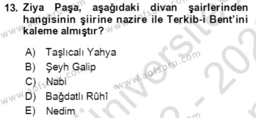 Tanzimat Dönemi Türk Edebiyatı 1 Dersi 2022 - 2023 Yılı (Final) Dönem Sonu Sınavı 13. Soru