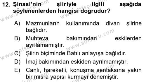 Tanzimat Dönemi Türk Edebiyatı 1 Dersi 2022 - 2023 Yılı Yaz Okulu Sınavı 12. Soru