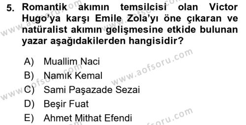 Tanzimat Dönemi Türk Edebiyatı 1 Dersi 2022 - 2023 Yılı Yaz Okulu Sınavı 5. Soru