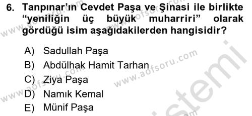 Tanzimat Dönemi Türk Edebiyatı 1 Dersi 2022 - 2023 Yılı Yaz Okulu Sınavı 6. Soru