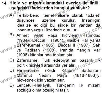 Tanzimat Dönemi Türk Edebiyatı 2 Dersi 2012 - 2013 Yılı (Final) Dönem Sonu Sınavı 14. Soru