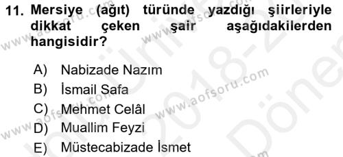 Tanzimat Dönemi Türk Edebiyatı 2 Dersi 2018 - 2019 Yılı (Final) Dönem Sonu Sınavı 11. Soru