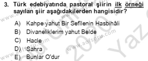 Tanzimat Dönemi Türk Edebiyatı 2 Dersi 2020 - 2021 Yılı Yaz Okulu Sınavı 3. Soru