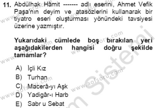 Tanzimat Dönemi Türk Edebiyatı 2 Dersi 2021 - 2022 Yılı (Vize) Ara Sınavı 11. Soru