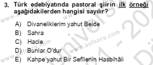 Tanzimat Dönemi Türk Edebiyatı 2 Dersi 2021 - 2022 Yılı (Vize) Ara Sınavı 3. Soru