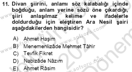 Tanzimat Dönemi Türk Edebiyatı 2 Dersi 2021 - 2022 Yılı (Final) Dönem Sonu Sınavı 11. Soru