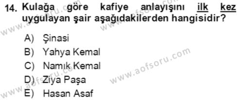 Tanzimat Dönemi Türk Edebiyatı 2 Dersi 2021 - 2022 Yılı Yaz Okulu Sınavı 14. Soru