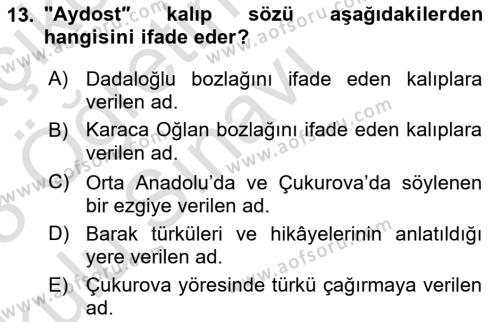 Halk Hikayeleri Dersi 2022 - 2023 Yılı Yaz Okulu Sınavı 13. Soru