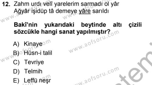 XVI. Yüzyıl Türk Edebiyatı Dersi 2012 - 2013 Yılı (Vize) Ara Sınavı 12. Soru