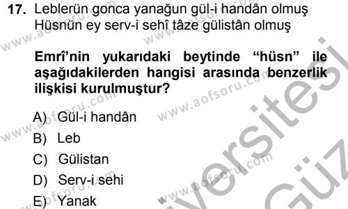 XVI. Yüzyıl Türk Edebiyatı Dersi 2012 - 2013 Yılı (Vize) Ara Sınavı 17. Soru